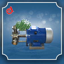 Cамовсасывающий (ламельный) насос Cамовсасывающий (ламельный) насос